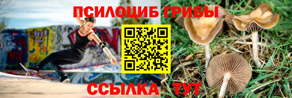 Галлюциногенные грибы Magic Shrooms Новосибирск