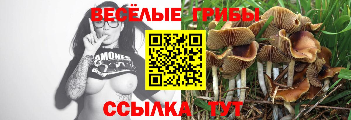 Новосибирск  Галлюциногенные грибы MAGIC MUSHROOMS  Вход с VPN 