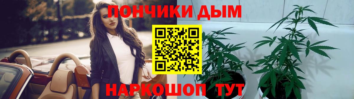 Новосибирск  Канабис марихуана  Шишки марихуана гибрид  Бошки марихуана White Widow  Вход с VPN 
